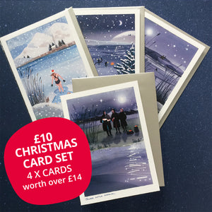 Pack of 4 Wild Swimming Christmas cards