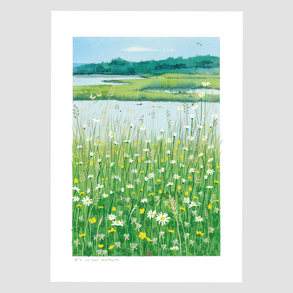 Wild Swimming Seasons | 3-Print Bundle – Studio Printed Fine Art Prints