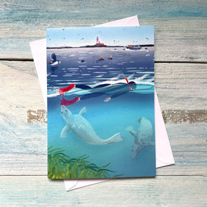 Open Water Swimming card. Swimming With Seals