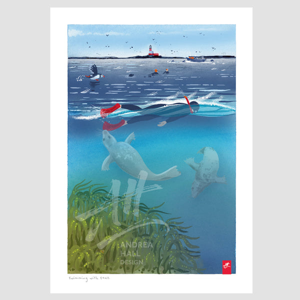 Wild Swimming at the Farne Islands print. 'Swimming With Seals'